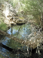 apache spring